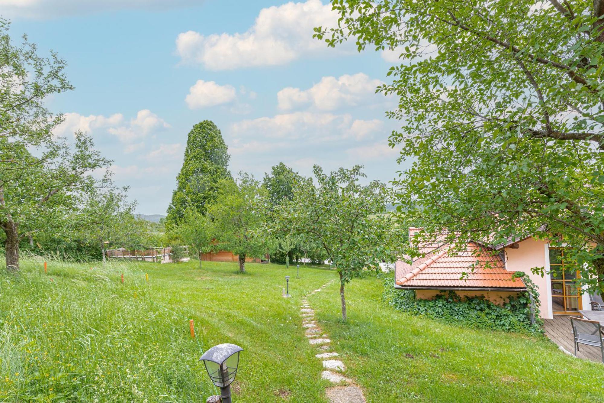 House Na Meji With Sauna - Happy Rentals Pivka Extérieur photo